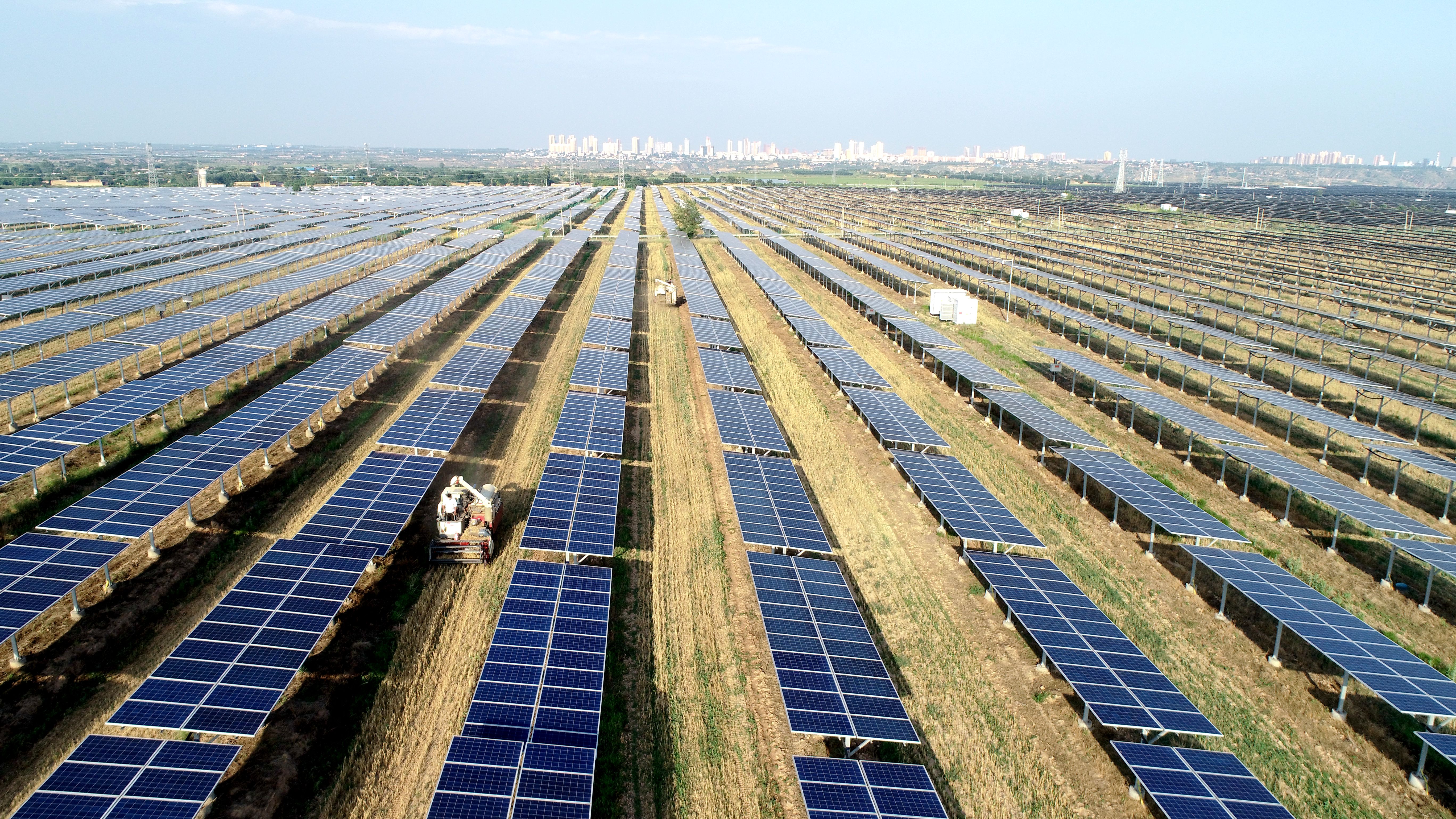 2.大唐澄城安里10萬千瓦農(nóng)光互補(bǔ)光伏電站采取“農(nóng)光互補(bǔ)”模式，不僅大大提高土地綜合利用率，還帶動(dòng)當(dāng)?shù)卮迕裨诩议T口就業(yè)，促進(jìn)農(nóng)民增收。任永紅攝 .jpg